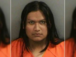Illegal alien in Florida charged with 100 counts of possessing child porn
