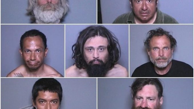 Six high risk sex offenders in California rearrested after being freed from jail because of coronavirus