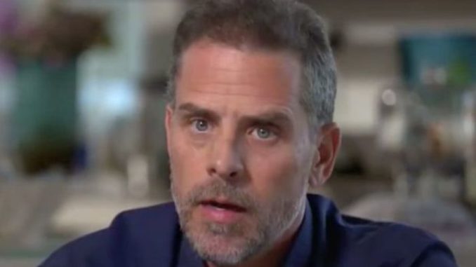 Democrats go into panic mode after Senate panel approves Hunter Biden probe subpoenas