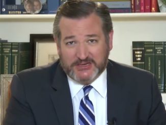 Sen. Ted Cruz slams city council resolution deeming 'Chinese virus' a hate speech term
