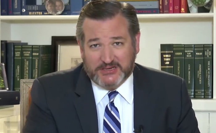Sen. Ted Cruz slams city council resolution deeming 'Chinese virus' a hate speech term