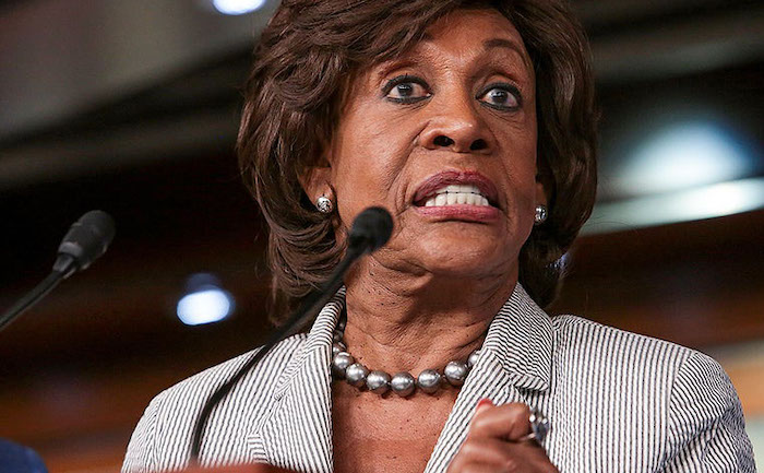 Rep. Maxine Waters says Trump and protestors should be ashamed - says businesses should not reopen yet