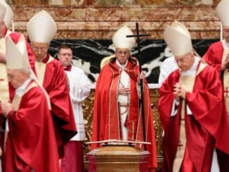 The coronavirus pandemic is being used as a “pretext” by world leaders to “control” people, strip them of their fundamental and constitutional rights, while providing a “disturbing prelude to the realization of a world government beyond all control,” according to conservative Vatican cardinals opposed to Pope Francis.