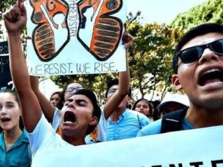 Supreme Court blocks President Trump's bid to end DACA for illegal aliens