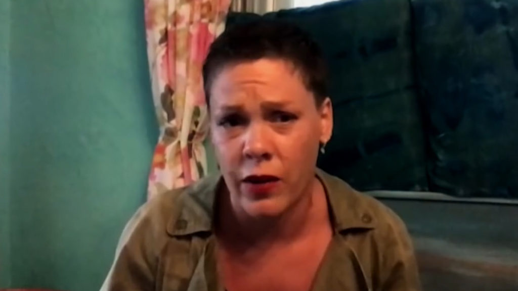 Pop star Pink has attacked the tens of millions of President Trump’s supporters, claiming that their vision for the country doesn’t represent the true America. “That’s your America,” she said.