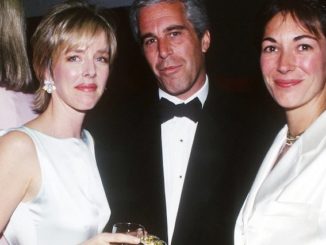 A British aristocrat and frequent flyer on Jeffrey Epstein's 'Lolita Express', and who stands accused of sexually abusing one of Epstein's alleged victims, has stepped down from her role with the UK's National Society for the Prevention of Cruelty to Children (NSPCC).