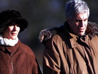 Ghislaine Maxwell says she fears she will be killed in the same manner as Epstein while awaiting trial in a cell