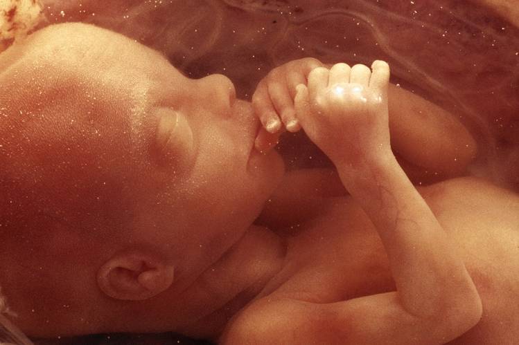 Planned Parenthood officials admitted under oath that they altered how they perform abortions in order to harvest the most “usable” baby body organs for sale.