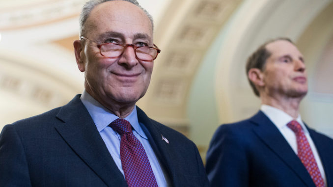 Schumer and Wyden demands FBI stop their Biden investigation until after the election is over