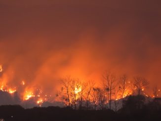 wildfires
