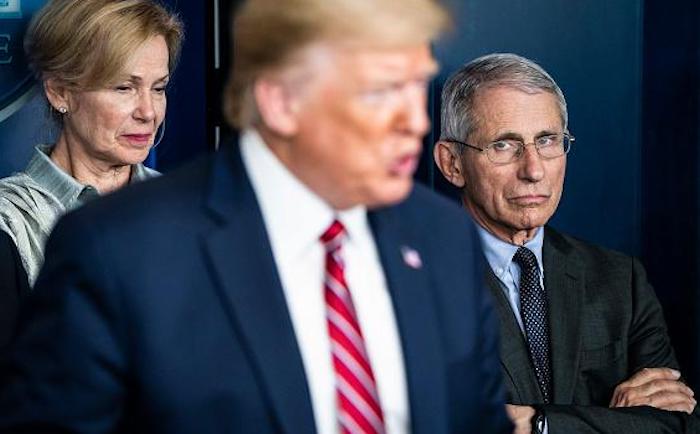 Dr. Fauci tells American to do what they're told, despite independent spirit