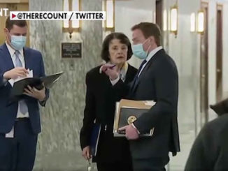 FEINSTEIN