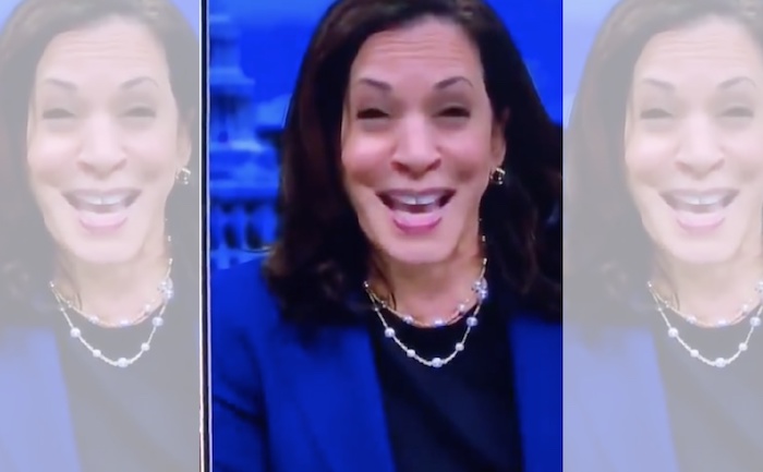 Kamala Harris endorses marxism just days before the US election