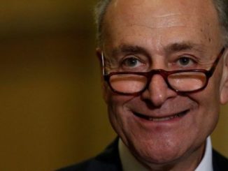 Schumer threatens to change America forever if Dems take Georgia senate seats