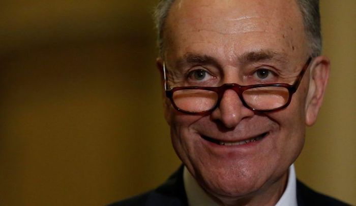 Schumer threatens to change America forever if Dems take Georgia senate seats