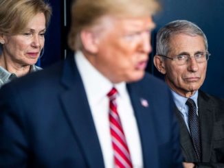 Fauci Trump