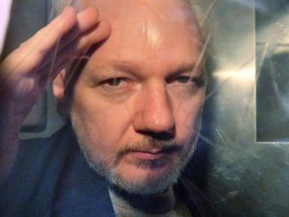 Assange