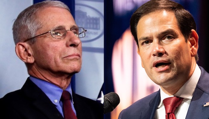 Senator Marco Rubio accuses Dr. Fauci of lying to the public