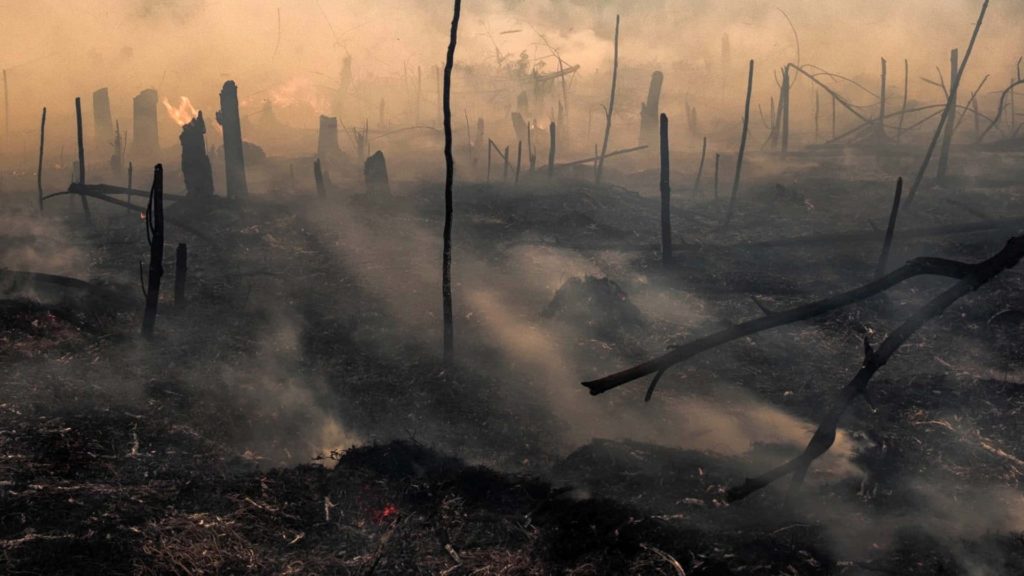 U.N. warns 2021 will be the. most catastrophic year in our history