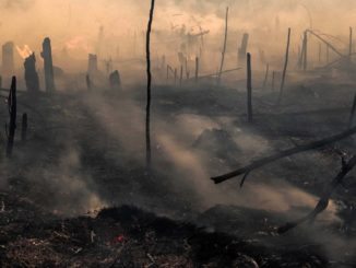 U.N. warns 2021 will be the. most catastrophic year in our history