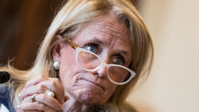 Democrat Congresswoman Debbie Dingell tells Facebook to take down all criticism of Islam