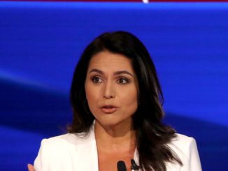 tulsi gabbard