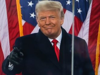 Mother Jones journalist declares President Trump a terrorist leader