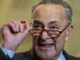 Chuck Schumer promises Trump won't ever run again