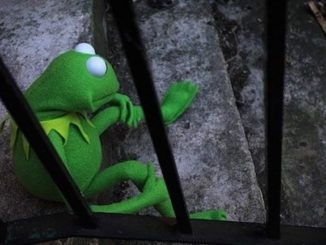 Disney cancels Kermit - labels Muppet Show offensive