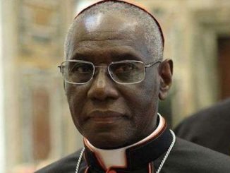Vatican Cardinal Robert Sarah removed by Pope Francis