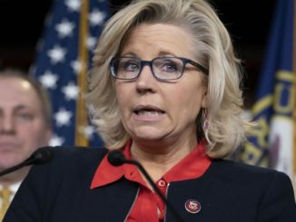 Liz Cheney threatens massive criminal investigation into Trump if she finds he provoked violence