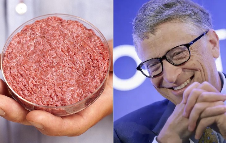 Bill Gates says humans will eat synthetic beef