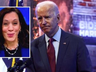Kamala Harris takes call with PM Netanyahu on behalf of Joe Biden