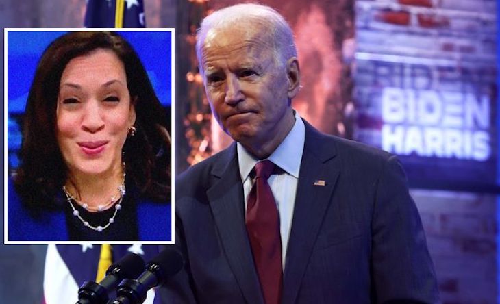 Kamala Harris takes call with PM Netanyahu on behalf of Joe Biden