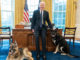 Biden and dogs