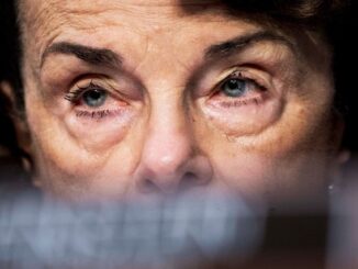 Democrat Sen. Dianne Feinstein vows to ban assault weapons