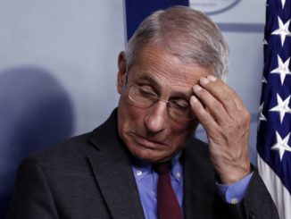 Dr Fauci