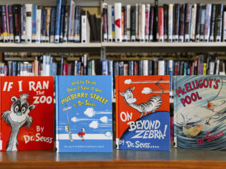 Dr Seuss libraries