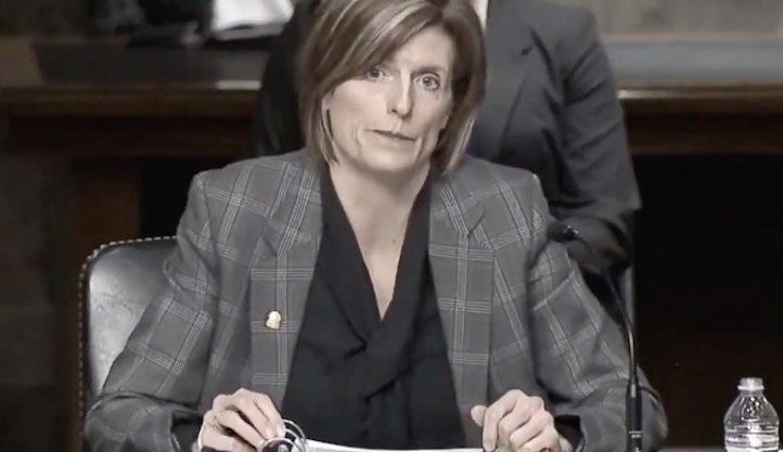 FBI official declares that no firearms were confiscated at Capitol riot