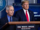 Trump and Fauci