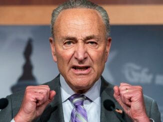 chuck-schumer