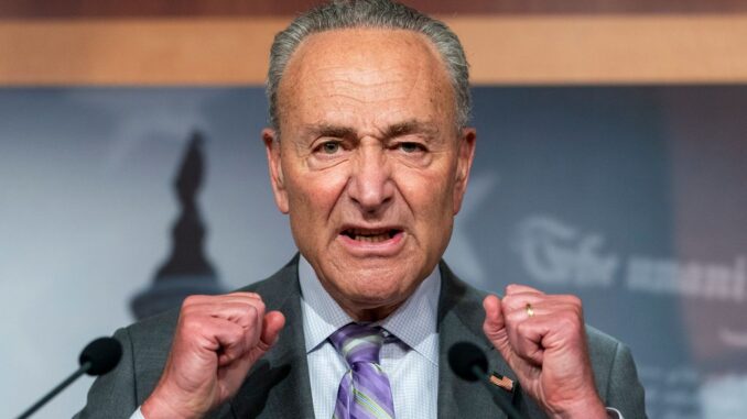 chuck-schumer