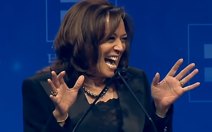 VP Kamala Harris cackles uncontrollably when discussing parents who can't afford good schools