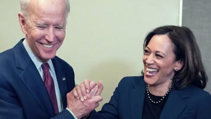 Joe Biden puts Kamala Harris in charge of the border