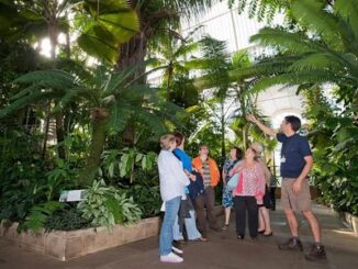 Kew Gardens to tell visitors how racists its plants really are