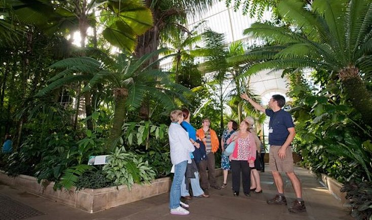 Kew Gardens to tell visitors how racists its plants really are
