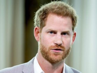 Prince Harry lands new job censoring independent media online