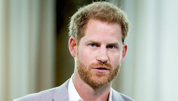 Prince Harry lands new job censoring independent media online