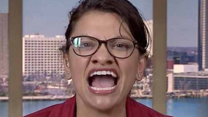 Rashida Tlaib says its time to abolish policing