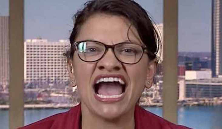 Rashida Tlaib says its time to abolish policing